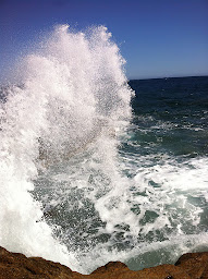 Photo n°14 de Camping La Figuière, Mobile home uniquement - Le Pradet à Le Pradet (Agence de location de mobile homes)