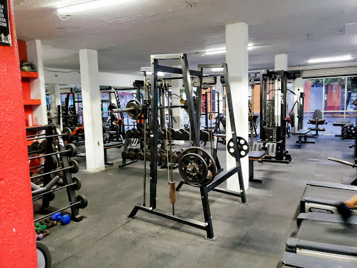 GYM Sport Bravo