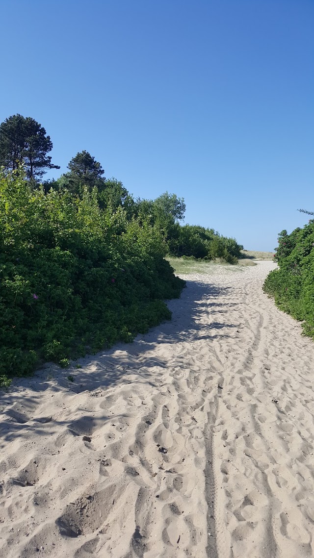 Hafenkneipe