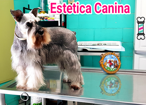 Veterinaria Happy Pet's - Thumbnail