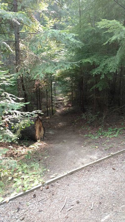 Robinson Lake Campground