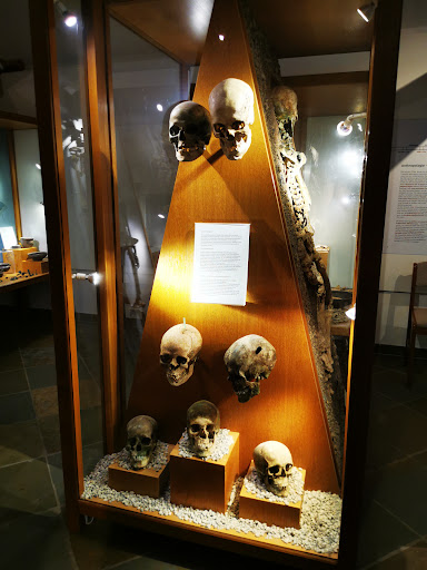 Urzeitmuseum - Visual