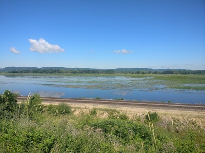 Shady Maple Wildlife Overlook