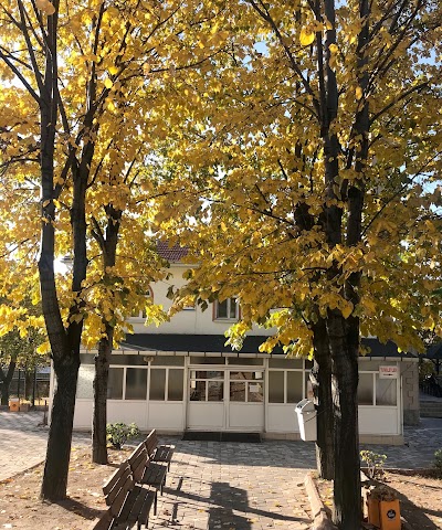 Merkez Yeni Cami