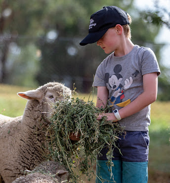 Barcoos Farmstays Bathurst by null