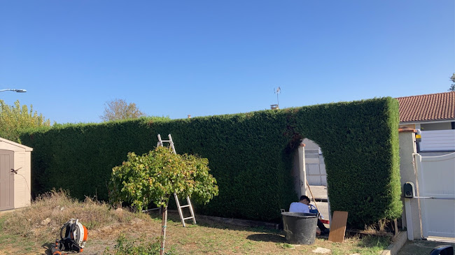 Loustal paysage - Paysagiste