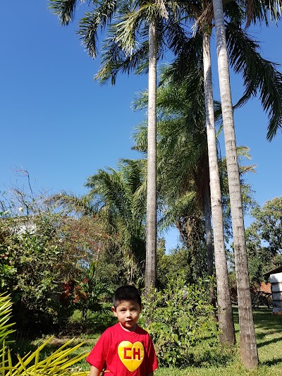 Photos of Mercado Campesino