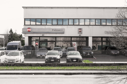 Dott.Manlio Palmucci SpA