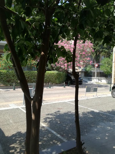 Photos of Hotel Des Roses