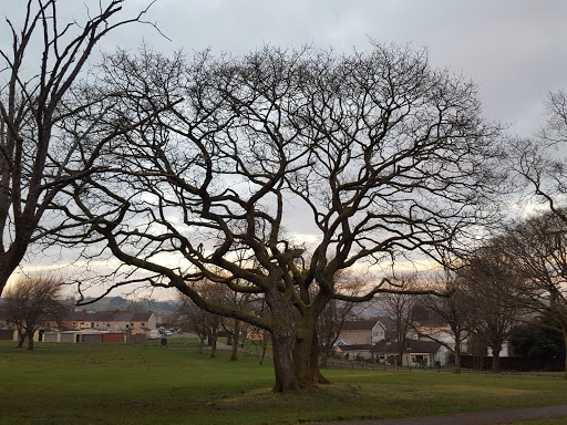 Bargoed Park - Visual