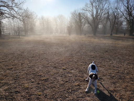 Treecourt Unleashed Dog Adventure Park | Dog Park | (Registration Required) - Thumbnail