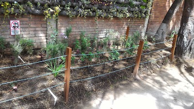 Photos of North Cemetery