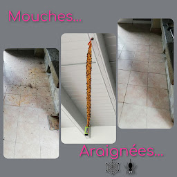 Photo n°13 de Le Coup de Main Bigouden à Plovan (Service de nettoyage et d'entretien)