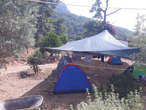AKBÜK YOLU ÜZERİ CENGİZİN YERİ GÖZLEME-KAMP (Camping)