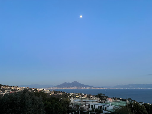 Lucrezio Cafè - Visual