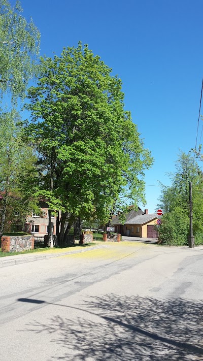 Photos of Smiltene Red Cross hospital