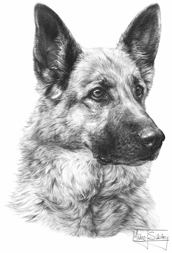 GDF Galleries - Visual