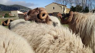 Photo n°41 de Relais de Laval à Caudiès-de-Fenouillèdes (Chambre d'hôtes)