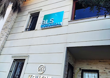 BLS KURUMSAL YÖNETİM VE DANIŞMANLIK