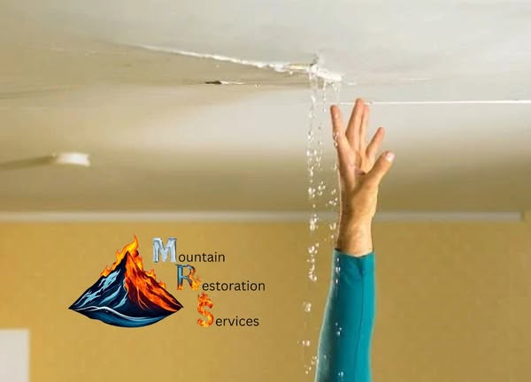 Mountain Restoration Services LLC photo