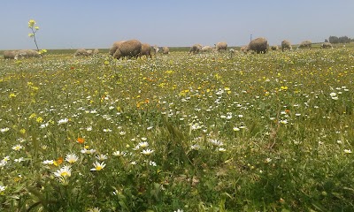 Photos of Commune Rurale Loulad
