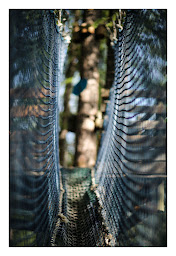 Photo n°9 de Serre Che Aventure à La Salle-les-Alpes (Parc)