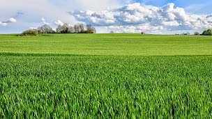 Photo n°4 de AgroCampus La Germinière / CFA à Rouillon (Établissement d'enseignement professionnel)