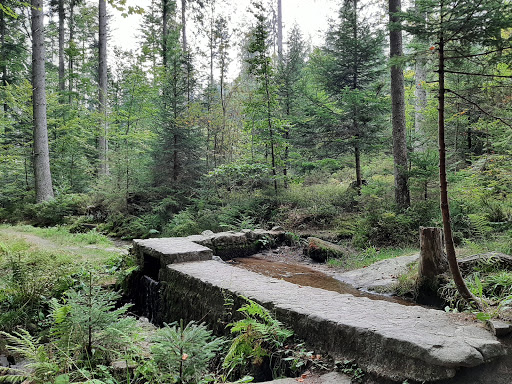 Mühlbach - Visual