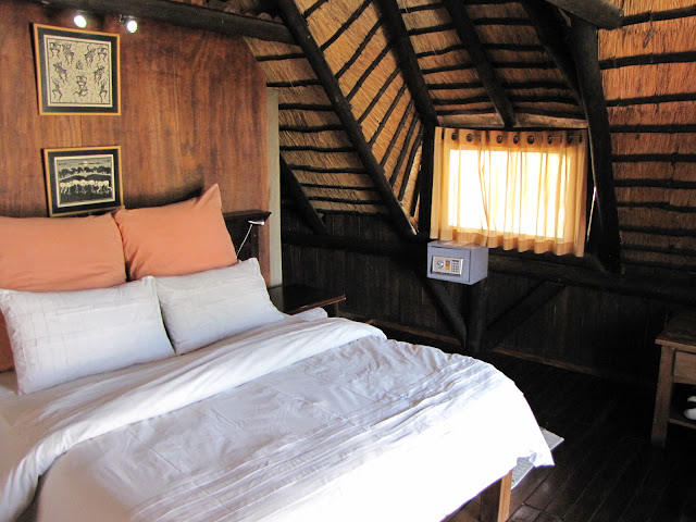 Chameleon Backpackers by null