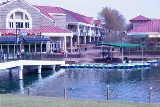 Dave's Paddle Boats
