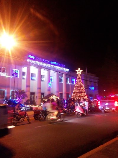 city-hall