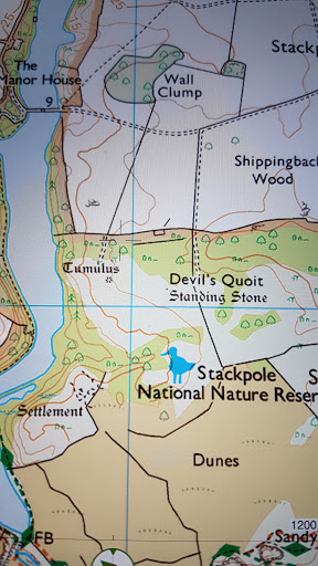 Devil's Quoit - Standing Stone - Visual