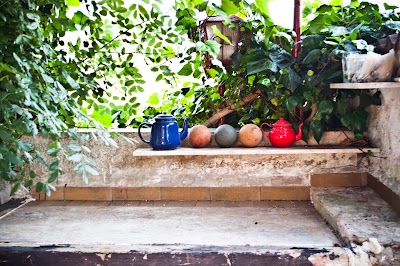 Photos of B&B Parco Alta Murgia