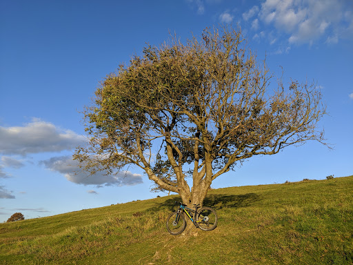 National Trust - Cissbury Ring - Thumbnail