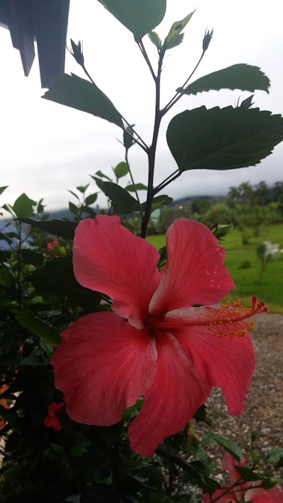 Photos of Rancho Doble F Mountain Lodge & Restaurant
