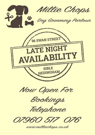 Millie Chops - Visual