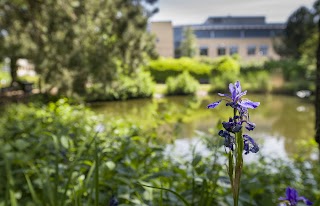 Birmingham Business Park Management Office