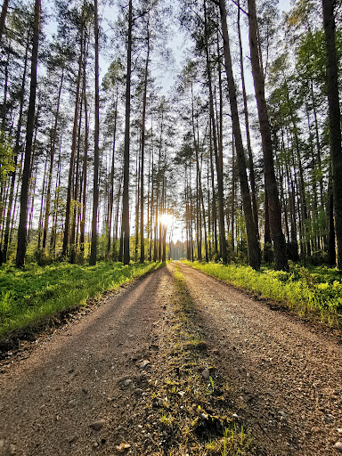 Gabinet Psychoterapii Tomasz Mróz - psychoterapeuta, psycholog