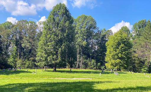Elkinsville cemetery - Thumbnail