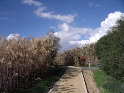 Photos of Flamingo Park