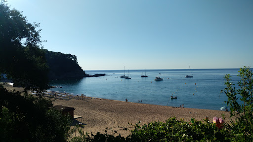 Canyelles - Visual