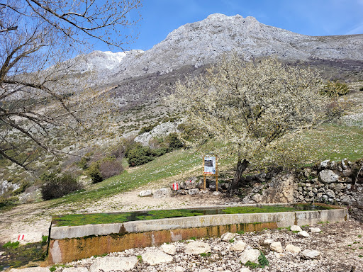 Fonte Canale - Visual