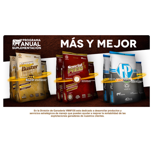 Vimifos Aguascalientes - Visual