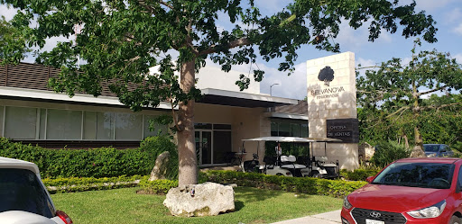 Selvanova Oficina de Ventas