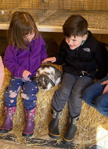 Tulip Festival Petting Farm - Thumbnail