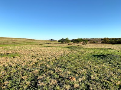 Prairie Dog Town