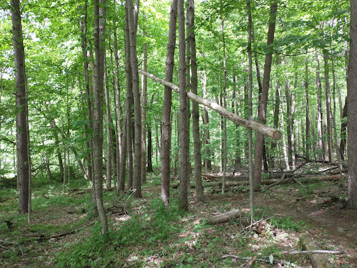 Soldiers Memorial Park MTB Trailhead - Thumbnail