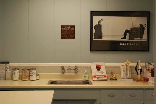 VCA Main Street Animal Hospital