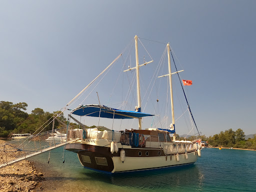 Kaunos Tur