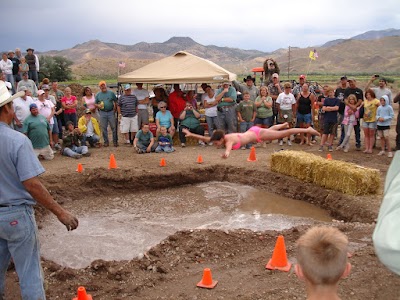 Cottonwood Downs - Marysvale City Park